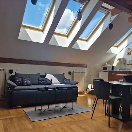 Captain Misha's Place