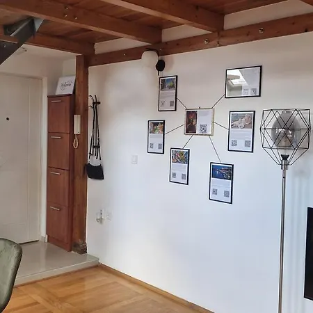 Appartamento Captain Misha's Place *